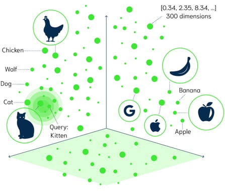 vector search